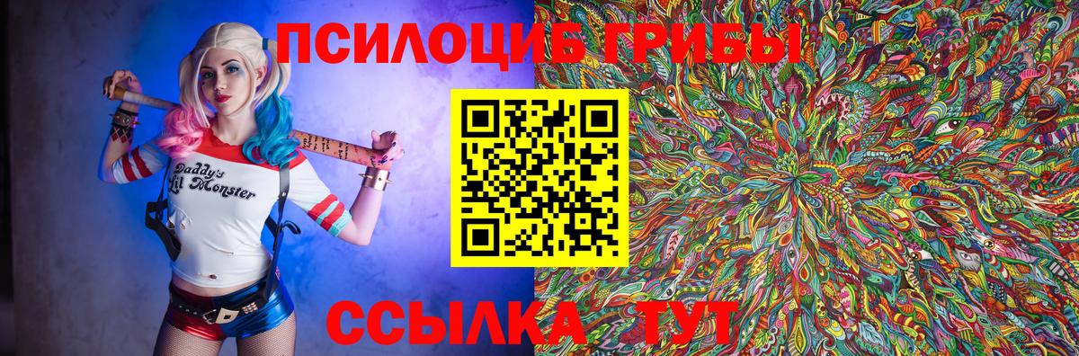 Псилоцибиновые грибы Psilocybine cubensis  Вход с VPN  Галлюциногенные грибы прущие грибы  Кудрово 
