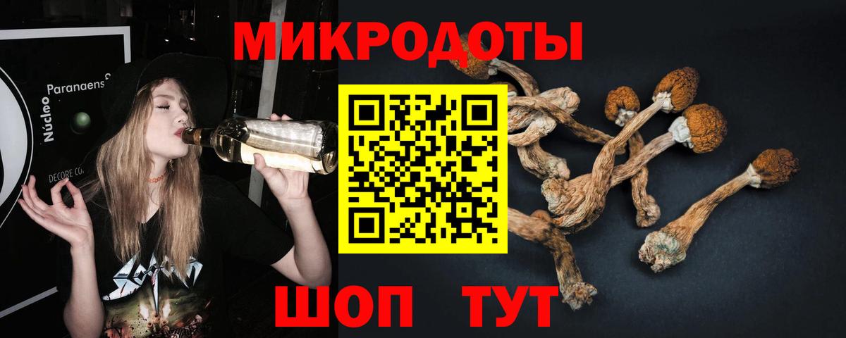 Галлюциногенные грибы Magic Shrooms Кудрово